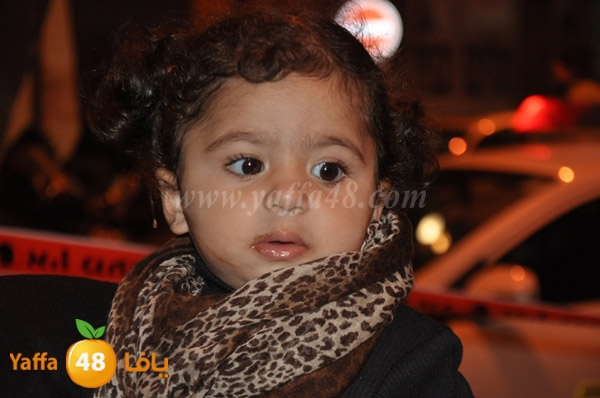 tree milad shajara (18).JPG